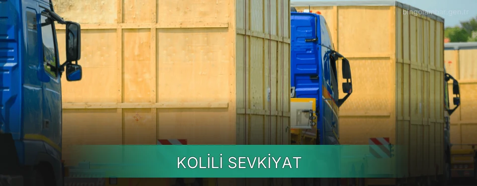 Bingöl Kolili Sevkiyat Ambar Firmaları