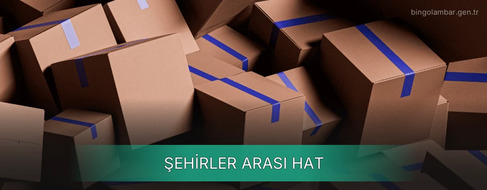 Bingöl Şehirler Arası Ambar Firmaları